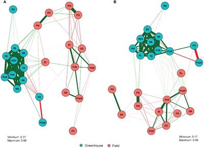 Multi-locus genome-wide association study for phosphorus use efficiency in a tropical maize germplasm